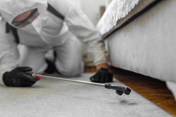 Professional Cockroach Control technician working in Eau Claire, WI