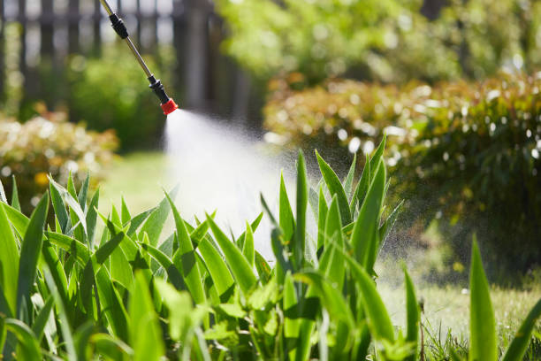 24/7 Emergency Cockroach Control experts in Eau Claire, WI