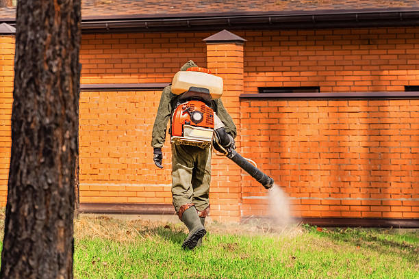 Trusted Termite Control service in Eau Claire, WI - Nex Pest Control